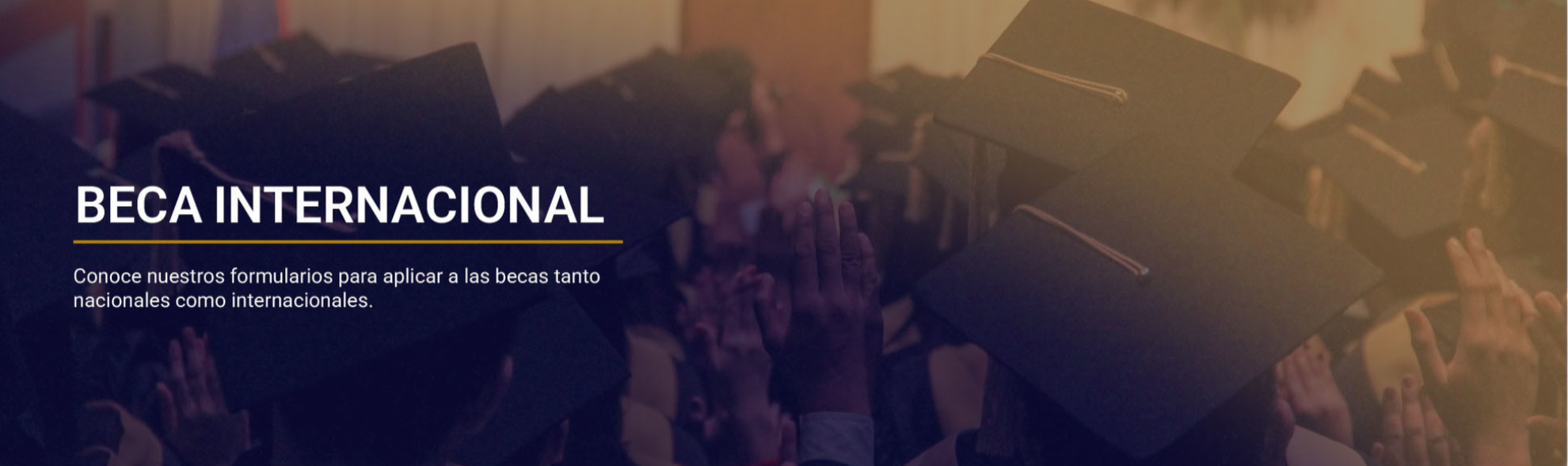 Beca Internacional