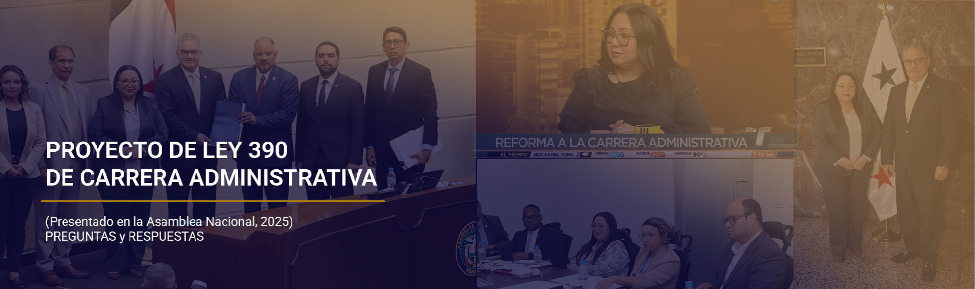 Proyecto de Ley 390 de Carrera Administrativa